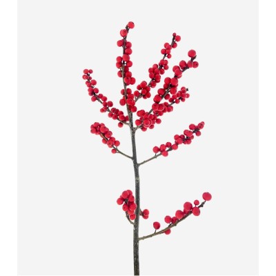 ILEX ROUGE EX 40CM X40