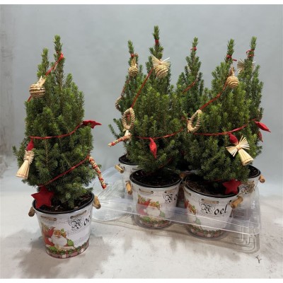 .Kerstboom Versierd pot 15...