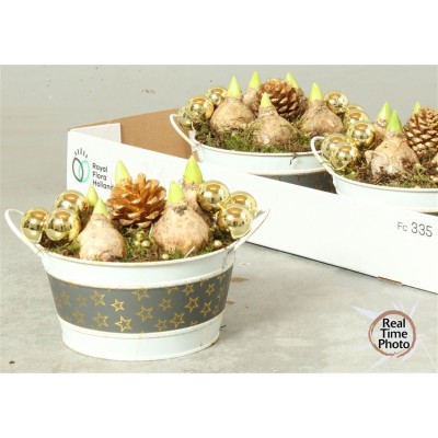 .Arr Hyacinth pot 17 25cm zinc