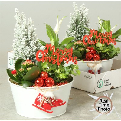 .Arr Kamerpl pot 21 40cm...