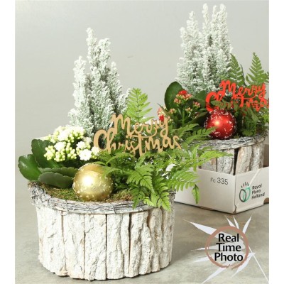 .Arr Kamerpl pot 21 40cm bois