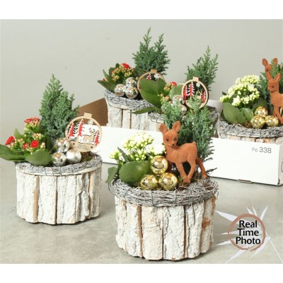 .Arr Kamerpl pot 15 35cm bois