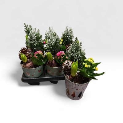 .arr plantes pot 15 Zinc noel