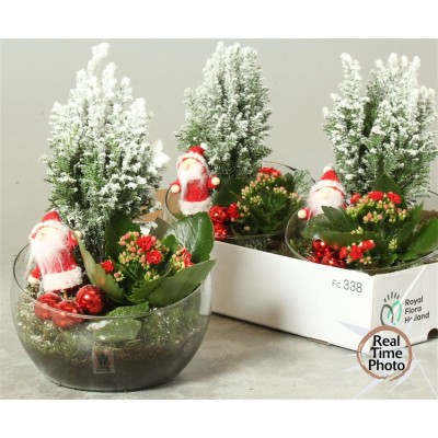 .Arr Kamerpl pot 20 22cm verre