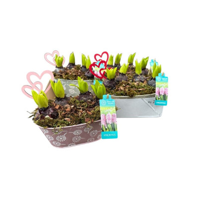 .Arr Kamerpl pot 22 40cm zinc