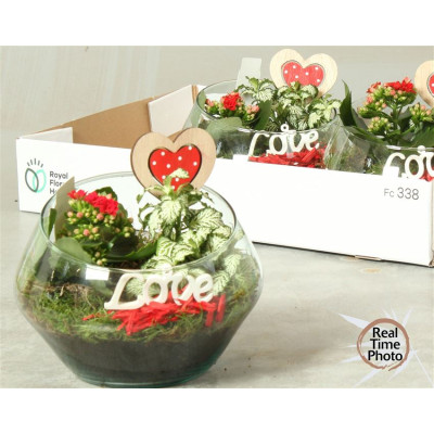 .Arr Kamerpl pot 20 25cm verre