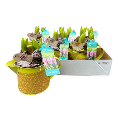 .Arr Kamerpl pot 18 40cm...