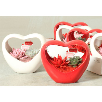 .Arr Kamerpl pot 18 20cm coeur