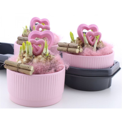 .Arr N Tete A Tete pot 16...