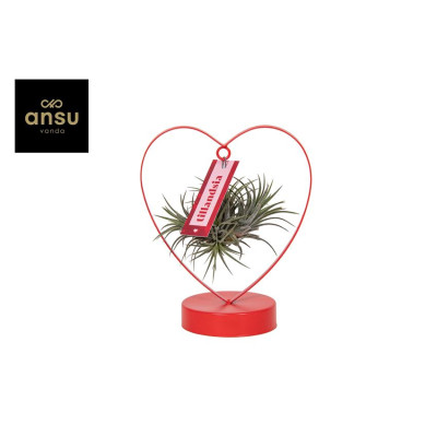 .Till Ov pot 10 coeur