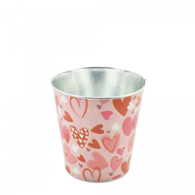 -Valentin Zinc Alove/pot...