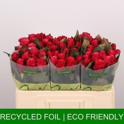 X bac Rose Gr 50cm TACAZZI...