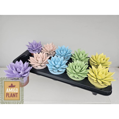 .Echev Miranda pot 10.5 13cm