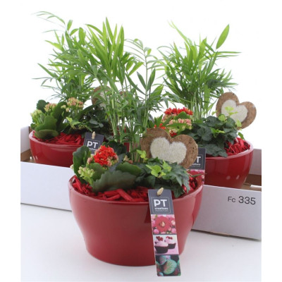 .Arr Kamerpl pot 19 35cm...