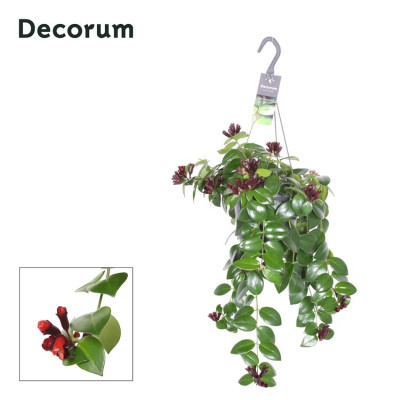 .Aeschyn Mona Lisa pot 17 40cm