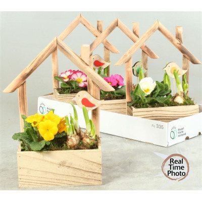 .Arr Tuinplanten pot 20...