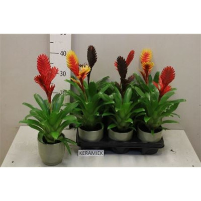 .Vries Gem pot 12 45cm cera