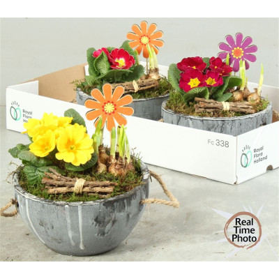 .Arr Tuinplanten pot 20...