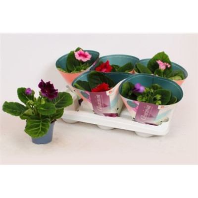 .Sinn Gem pot 12 25cm