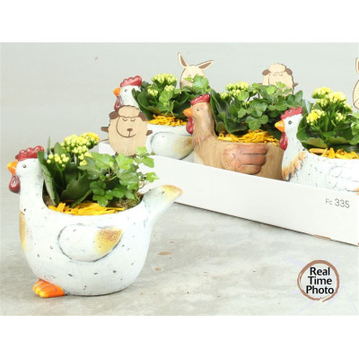 .Arr Kamerpl pot 24 25cm poule