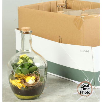 .Arr Kamerpl pot 15 30cm...