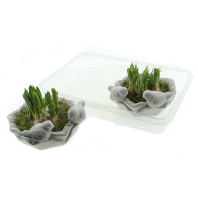 .Arr N Tete A Tete pot 18...