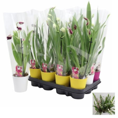 .Milton Gem pot 9 45cm