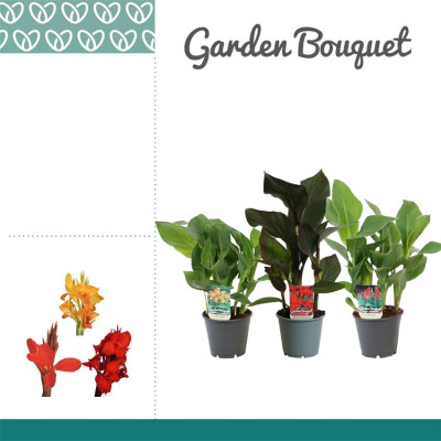 .Canna Ov pot 14 50cm