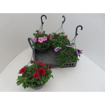 .Pet Gem pot 21 20cm