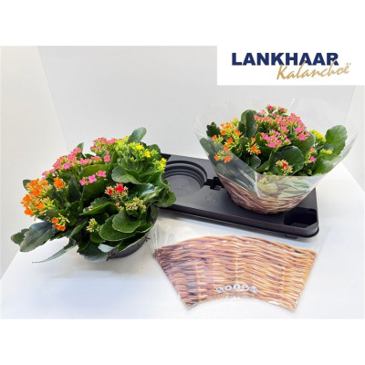 .Kal En Garden Ov pot 23 27cm