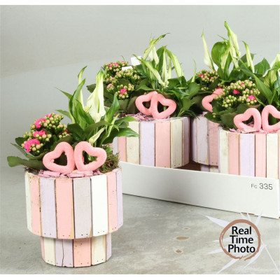 .Arr Kamerpl pot 15 40cm bois