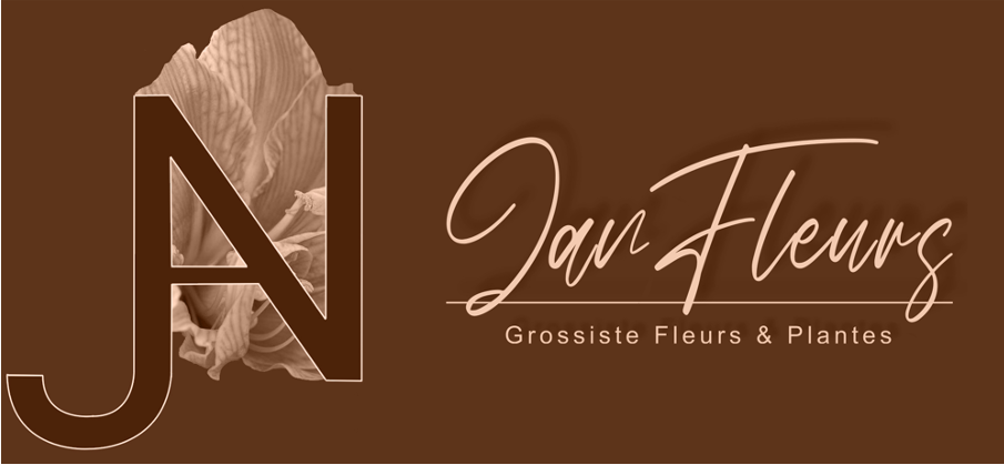 Janfleurs